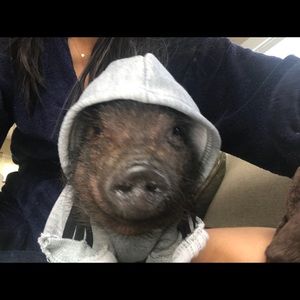 Meet your Posher, Mimi